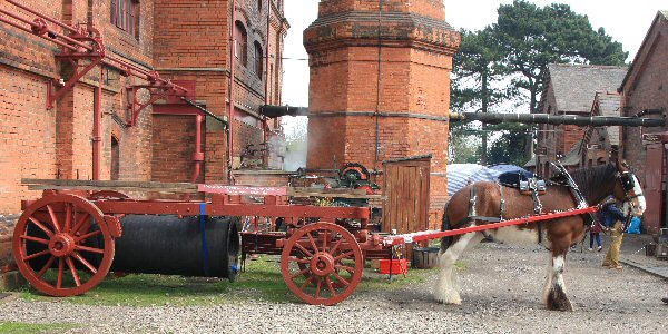 Picture of pipe drug with horse